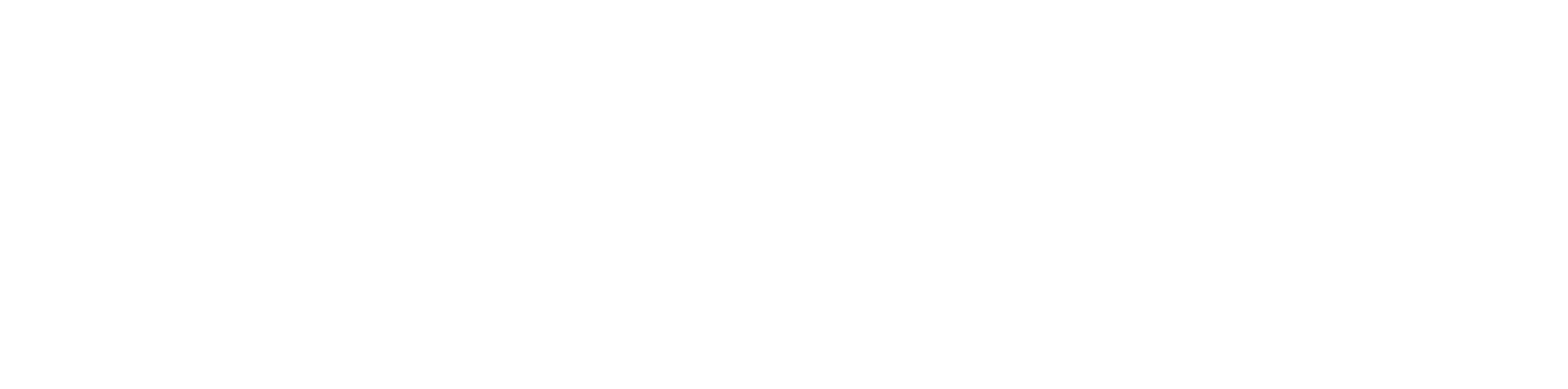 PrimeCodex Insights