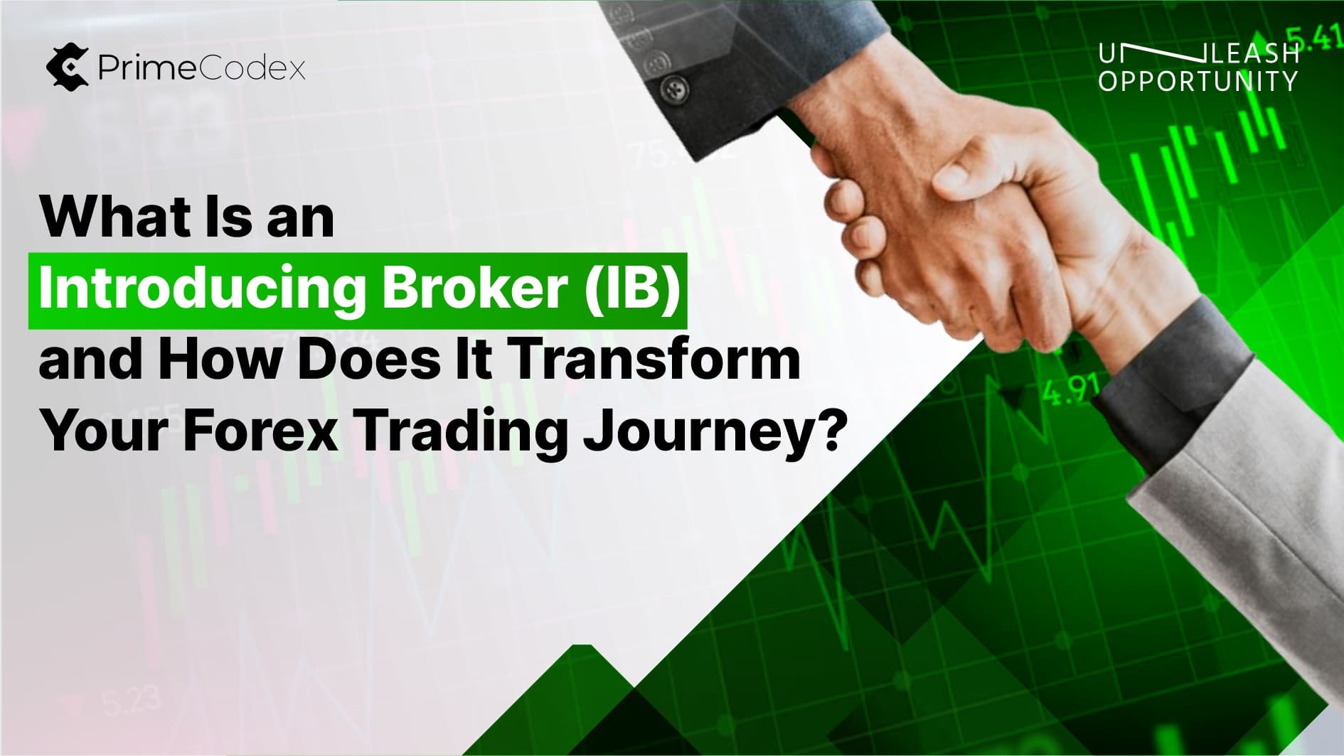 What Is an Introducing Broker (IB) and How Does It Transform Your Forex Trading Journey?